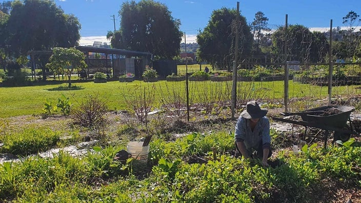 Lismore Community Garden 704x396.jpg